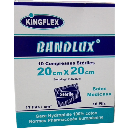 COMPRESSE A GAZ STERILE 20*20CM S1 B10