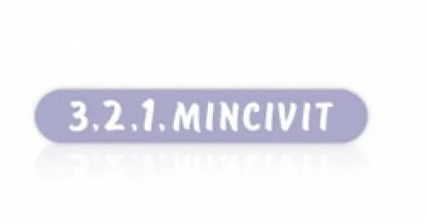 MINCIVIT