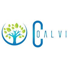 COALVI
