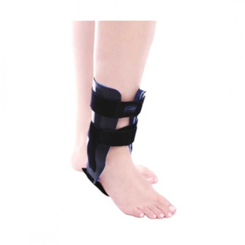 W614 CHEVILLAIRE BICOQUE EPONGE