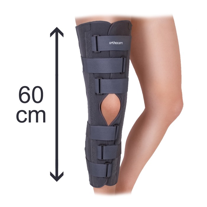 W519 ATELLE IMMOBILISATION DI GENOU 60CM